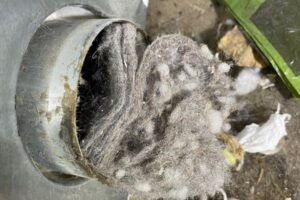 Bird nest blockage inside vent duct