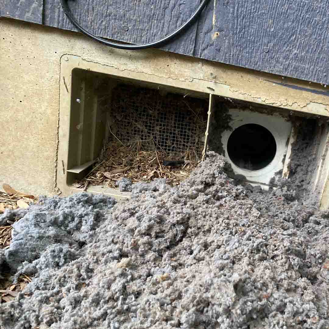Professional dryer vent cleaning results