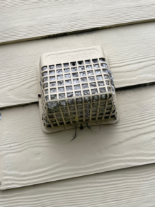 Pest-proof dryer vent bird guard installed
