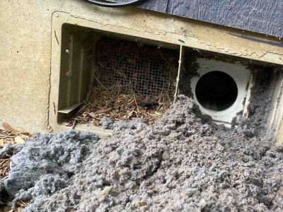 Clogged dryer vent before professional cleaning