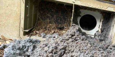 Professional dryer vent cleaning service in Portland