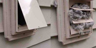 Vent cover replacement to protect against pests and weather